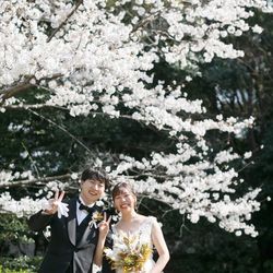 ザ・ガーデンオリエンタル大阪の写真13枚目