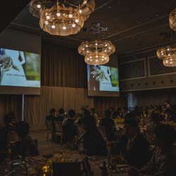 クアンティックの写真8枚目