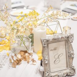 クアンティックの写真5枚目