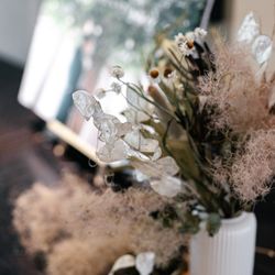 SOLA KOBEの写真16枚目