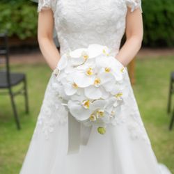 パラッツォ ドゥカーレ 麻布の写真22枚目