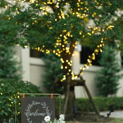 リストランテ カノビアーノ の写真13枚目