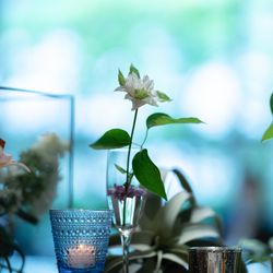 ラソールガーデン大阪の写真14枚目