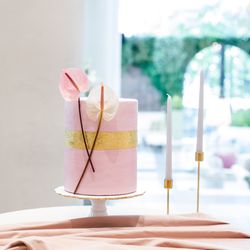 Mia Viaの写真33枚目