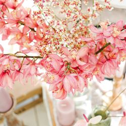 キャッスルガーデン大阪の写真24枚目