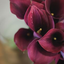 SOLA KOBEの写真10枚目