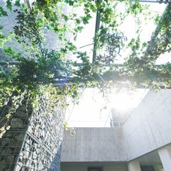 SOLA KOBEの写真21枚目