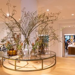 メゾン プルミエールの写真14枚目