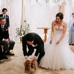 TRUNK BY SHOTO GALLERYの写真16枚目