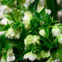 パレスホテル東京の写真25枚目