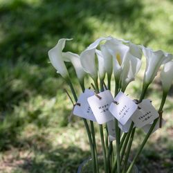 Mia Viaの写真21枚目