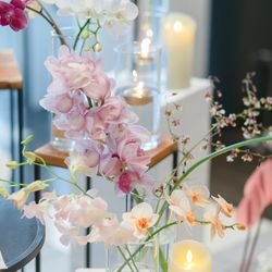 Mia Viaの写真16枚目