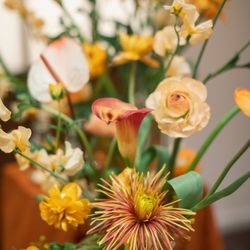 The Place of Tokyoの写真35枚目