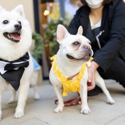 ハートコート横浜の写真2枚目