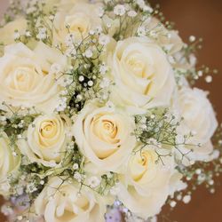 ララシャンス 博多の森の写真20枚目