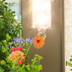 ララシャンス 博多の森の写真13枚目