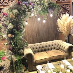 クアンティックの写真21枚目