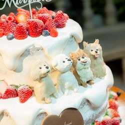 ハートコート横浜の写真30枚目