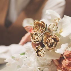 アルタビスタ ガーデンの写真27枚目