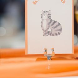 クアンティックの写真23枚目