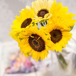 The Place of Tokyoの写真31枚目