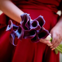 アマンダンブルー鎌倉の写真3枚目