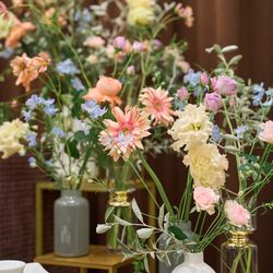 The Place of Tokyoの写真21枚目