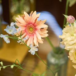 The Place of Tokyoの写真12枚目