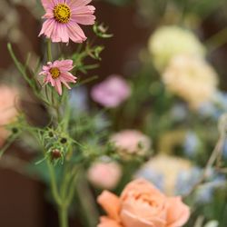 The Place of Tokyoの写真24枚目