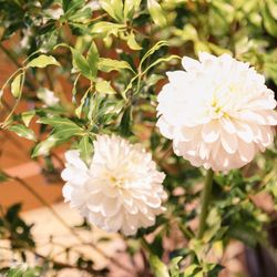 クアンティックの写真36枚目