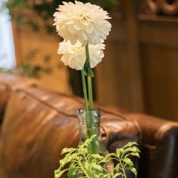 クアンティックの写真33枚目