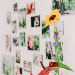 ザ ナンザンハウスの写真7枚目