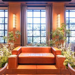 TRUNK HOTELの写真33枚目