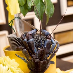 ウェディングスホテル・ベルクラシック東京の写真12枚目