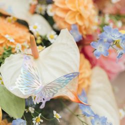 The Place of Tokyoの写真25枚目