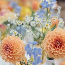 The Place of Tokyoの写真6枚目