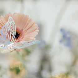 The Place of Tokyoの写真18枚目