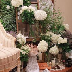 izumoden 豊橋の写真25枚目