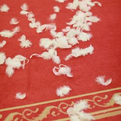 izumoden 豊橋の写真30枚目