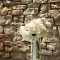 SOLA KOBEの写真31枚目