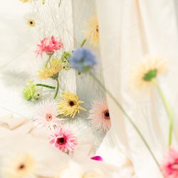 SOLA KOBEの写真19枚目