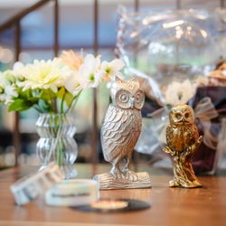 ララシャンス 博多の森の写真36枚目