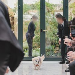 リストランテASOの写真11枚目