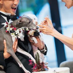 ニーズ青山 by T&G WEDDING の写真10枚目