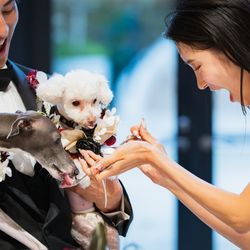 ニーズ青山 by T&G WEDDING の写真22枚目