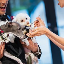 ニーズ青山 by T&G WEDDING の写真25枚目