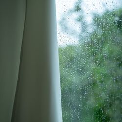 ニーズ青山 by T&G WEDDING の写真11枚目