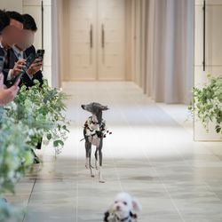 ニーズ青山 by T&G WEDDING の写真18枚目