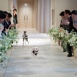 ニーズ青山 by T&G WEDDING の写真35枚目