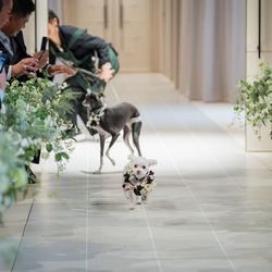 ニーズ青山 by T&G WEDDING の写真22枚目